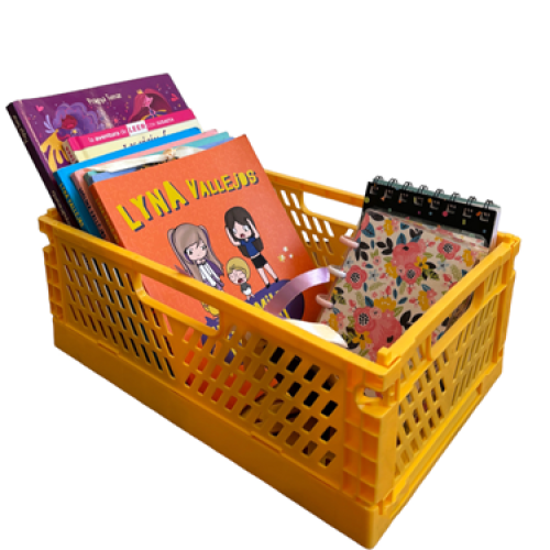 Contenedor organizador multiuso plegable grande